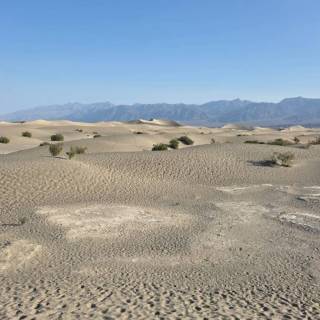 campery asone - wyprawy_kamperowe_usa_2026 (24).